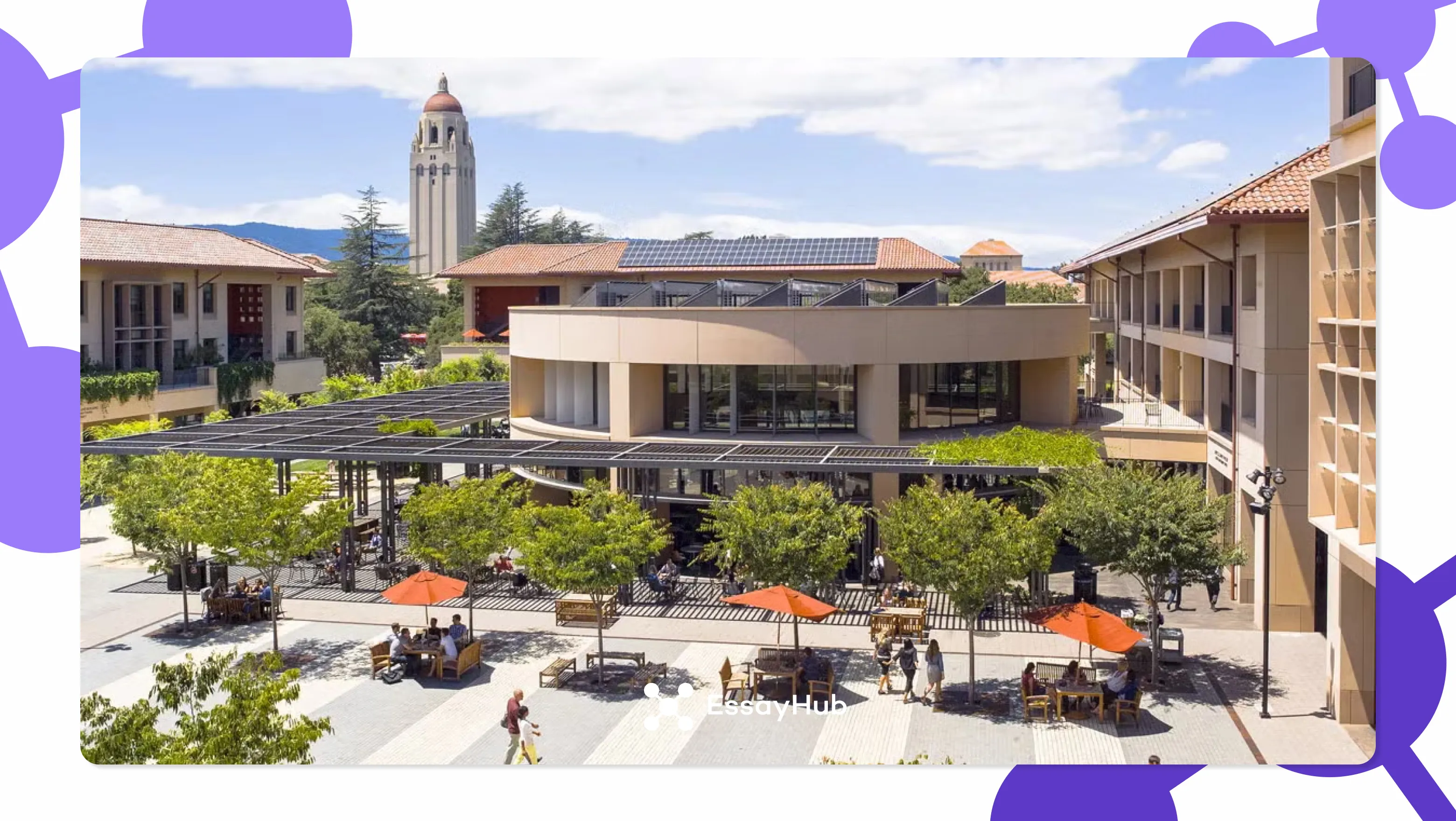 Business School Rankings 2025 What Students Should Know